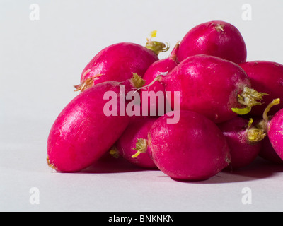 Pile of Pink Radishes Stock Photo