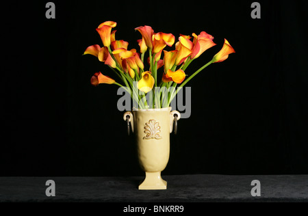 yellow and orange Calla Lilies in a yellow vase Stock Photo