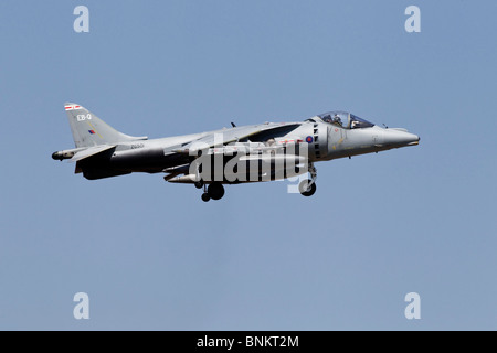 A Bae systems Harrier ground attack and strike aircraft of the RAF Stock Photo