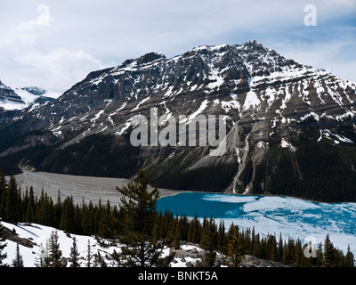 Partially frozen Peyto Lake named after Bill Peyto viewed from Bow Summit Icefields Parkway Banff National Park Canada Stock Photo