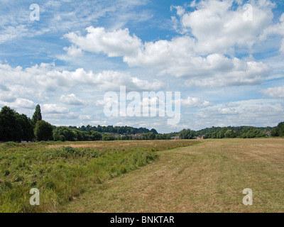 The River Wey floodplain near Godalming in Surrey Stock Photo