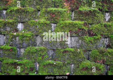 Stone gray extruding bricks with old green rustic moss grass growing on them. Stock Photo