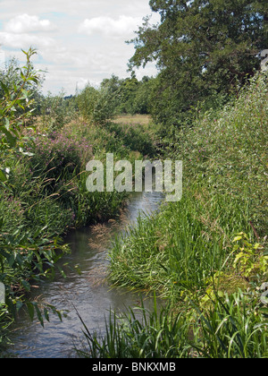 The River Wey floodplain near Godalming in Surrey Stock Photo