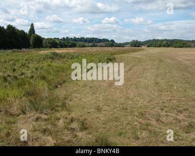 The River Wey floodplain near Godalming in Surrey Stock Photo