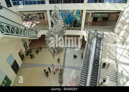 Interior lobby of the California Science Center in Los Angeles. Stock Photo