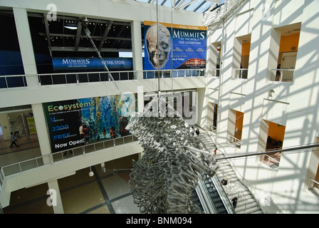 Interior lobby of the California Science Center in Los Angeles. Stock Photo