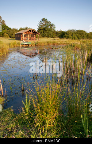 Large pond and summerhouse in the countryside, Wiltshire, England Stock Photo