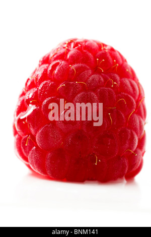 One raspberry isolated on white background macro Stock Photo - Alamy