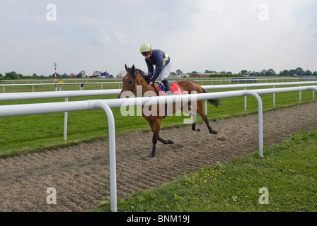 Tadhg O'Shea on Liel at Doncaster Racecourse Stock Photo