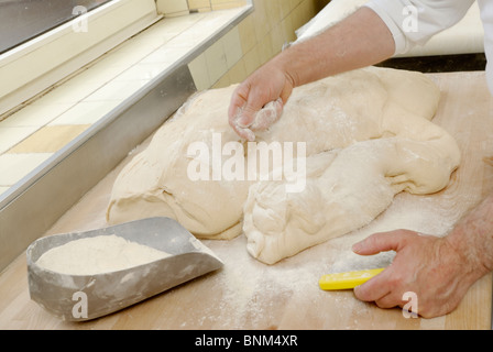 pastry process to bread, baker kneading pastry Stock Photo