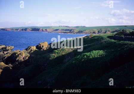 St Abbs, Scottish Borders, rugged, dramatic coastline. Scotland scenery, walking and hiking holidays, very picturesque area. Stock Photo