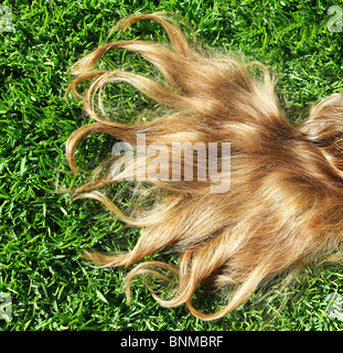 Closeup on beautiful blond hair over spring grass Stock Photo