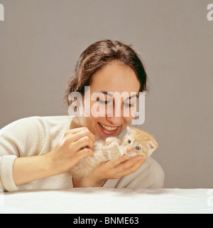 young woman with a Scottish Fold cat kitten Stock Photo