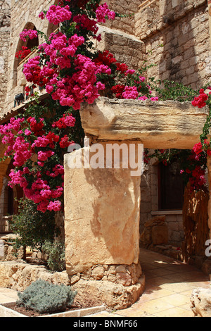 Bougainvillea Bush Cyprus Europe Stock Photo