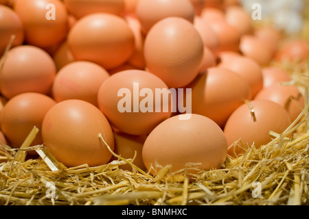 Eggs on straw on a market stall. Stock Photo