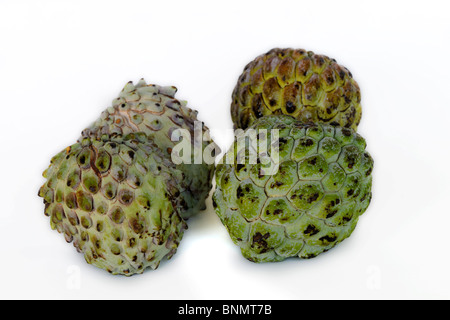 Custard Apple, Sugar-apple (Annona squamosa), and Atemoia (Annona cherimola), fruits on white background Stock Photo