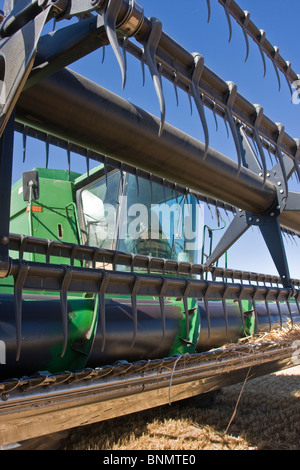 Early morning routine in the wheat harvesting business includes dumping hoppers, fueling and greasing the machines. Stock Photo