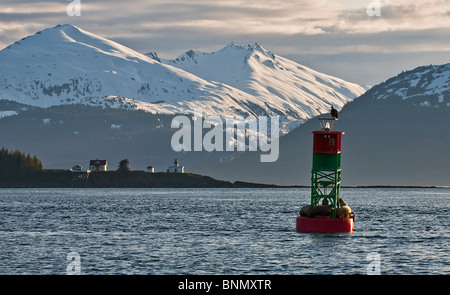 Bald eagle sits atop a buoy crowded with sea lions, Point Retreat lighthouse & Chilkat Mountain Range in the background, Alaska Stock Photo