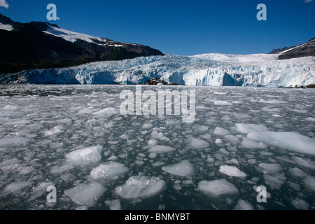 Ice floe in Front of Aialik Glacier Aialik Bay KP AK Summer Kenai Fjords NP Stock Photo