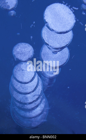 Frozen Bubbles Trapped in Ice Portage Valley Alaska Stock Photo