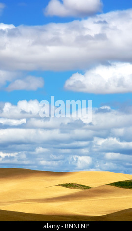 Rolling wheatfield's, blue sky and Clouds Stock Photo