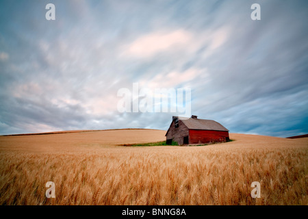 Barn in wheat field with approaching storm clouds. The Palouse, Washington Stock Photo