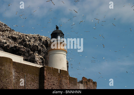 Lighthouse on Bass Rock off the coast of Scotland where Northern Gannets return each year to breed. Stock Photo