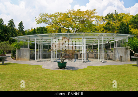 Exhibit exhibit pieces outdoor flowerpots flowering plants bonsai botany small tree trees exhibits flora garden park park Stock Photo