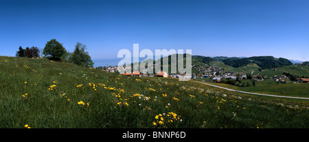 Heiden mountains canton Appenzell Ausserrhoden Appenzellerland village meadow flowers Switzerland dandelion idyllic hill trees Stock Photo