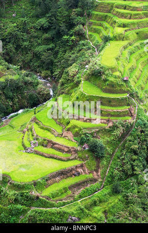 banaue rice terraces in Philippines, Asia. Stock Photo