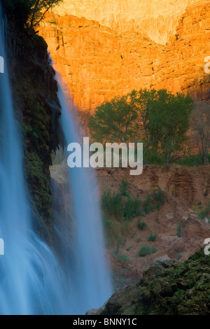 Navajo Falls Usa America Glen Ellis Falls United States Arizona Grand 