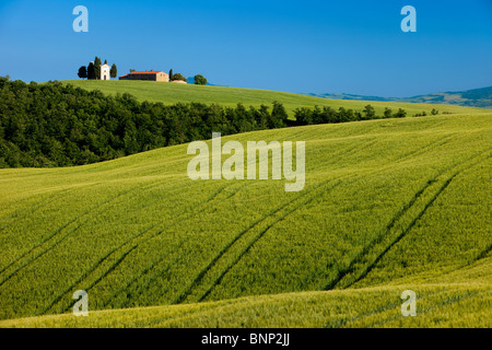 Cappella di Vitaleta and the rolling fields of Tuscany near San Quirico d'Orcia, Italy Stock Photo