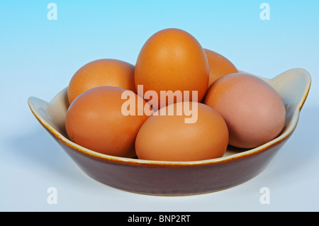 Six fresh eggs in a ceramic dish. Stock Photo