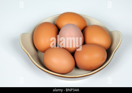 Six fresh eggs in a ceramic dish. Stock Photo