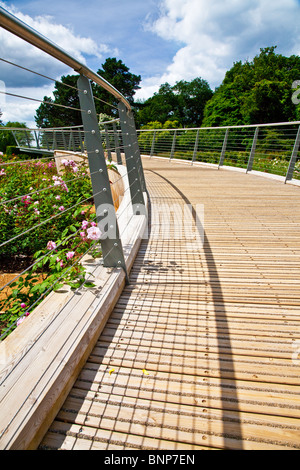 The futuristic contemporary walkway above the new Rose Garden in the Savill Gardens, Royal Landscape, near Windsor, England, UK Stock Photo