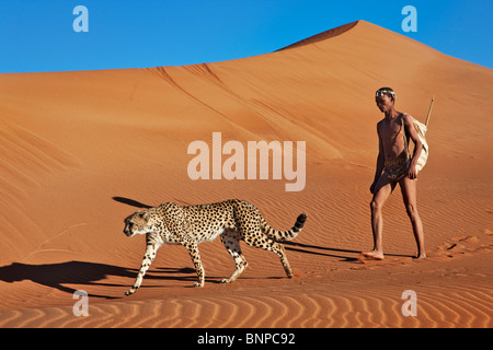 San hunter armed with traditional bow and arrow with cheetah Stock Photo