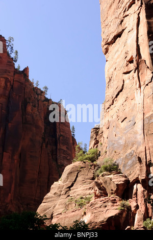 Zion Canyon National Park, Utah, USA - canyon rock formations Stock Photo