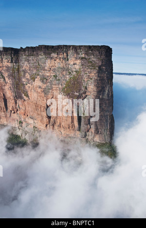 Mount Roraima is the highest tepui reaching 2810 meters in elevation. Cloud covered flat top mountains. Venezuela Stock Photo