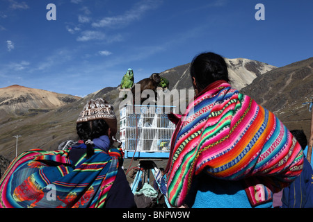 Quechua lady and girl fascinated by parrot and monkey during Qoyllur Riti festival , Cusco region , Peru Stock Photo