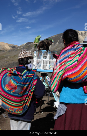 Quechua lady and girl fascinated by parrot and monkey during Qoyllur Riti festival , Cusco region , Peru Stock Photo