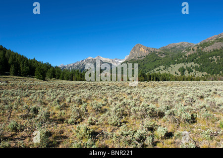 Wildhorse Creek area of the Copper Basin near Sun Valley, Idaho Stock Photo