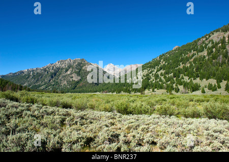 Wildhorse Creek area of the Copper Basin near Sun Valley, Idaho Stock Photo