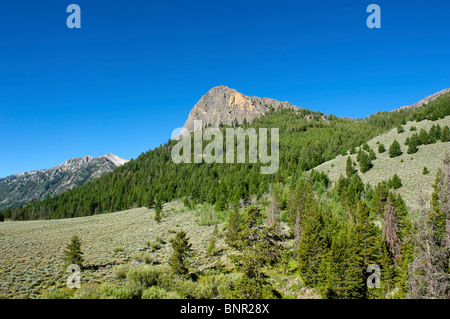 Wildhorse Creek area of the Copper Basin near Sun Valley, Idaho Stock Photo