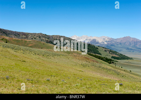 Antelope Pass area of the Copper Basin, near Sun Valley, Idaho Stock ...