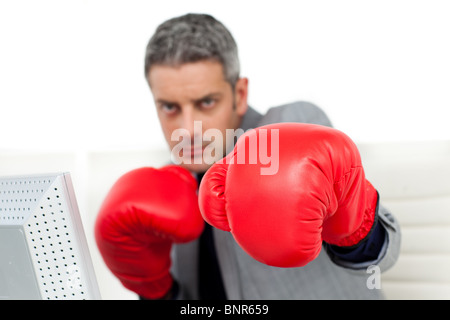 Self-assured businessman with boxing gloves Stock Photo