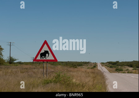 Traffic sign warning elphnats crossing in Otjikondo northern Namibia Stock Photo