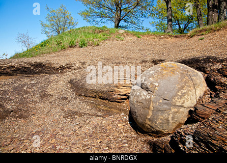 Concretion at Kettle Point, Ontario, Canada. Stock Photo