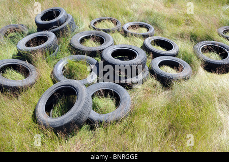 Old car tires on a green mead in Poland, Mazovia region Stock Photo