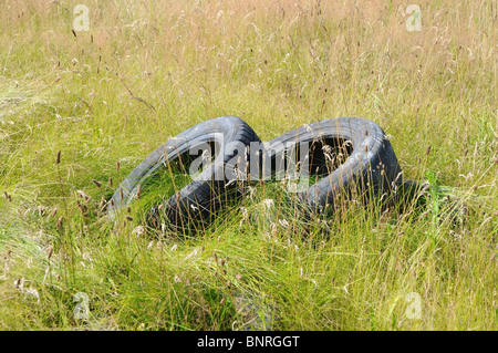 Old car tires on a green mead in Poland, Mazovia region Stock Photo