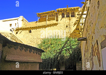 A view of the Burning bush inside the walls of Saint Catherine's Monastery, Sinai Stock Photo